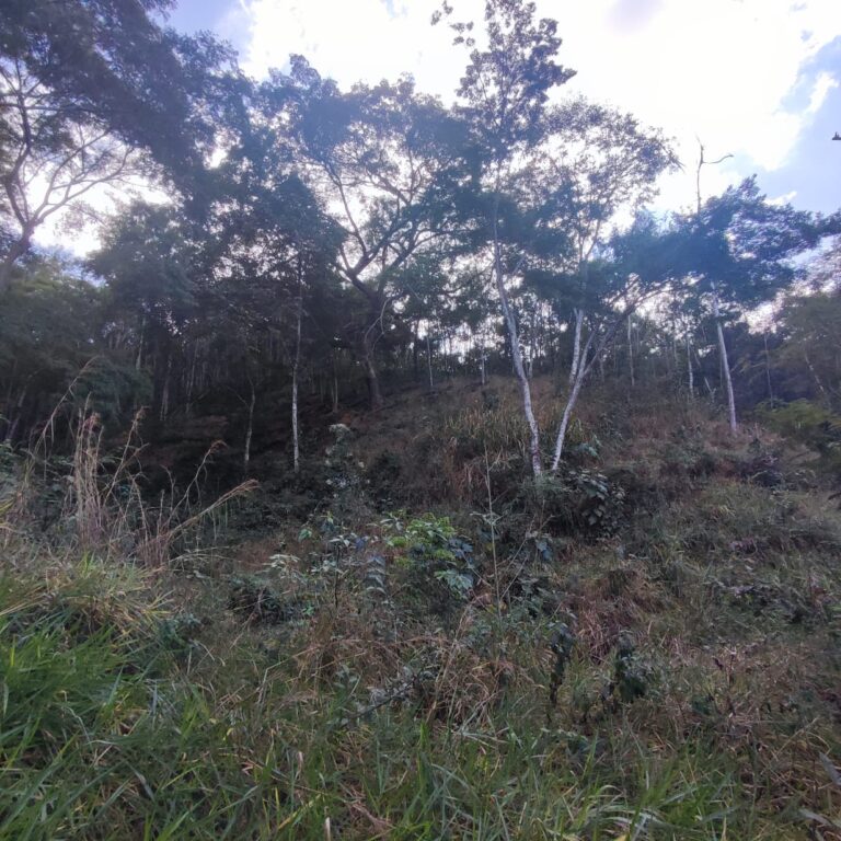 WhatsApp Image 2025-07-29 at 14.51.17 (3)