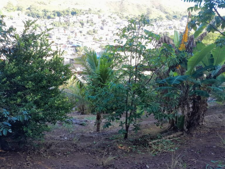 WhatsApp Image 2025-04-21 at 12.35.29 (1)