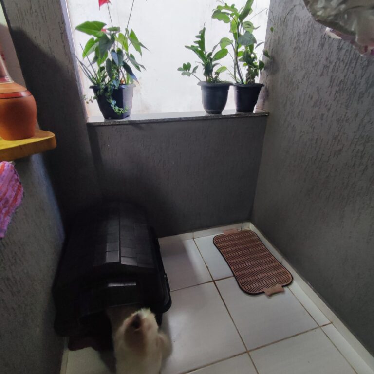 WhatsApp Image 2025-04-22 at 17.13.41 (1)