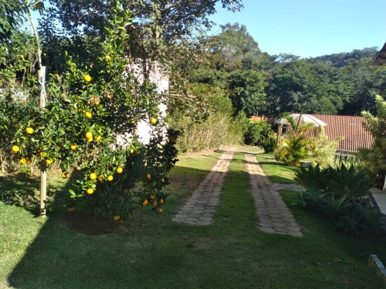 WhatsApp Image 2025-07-03 at 08.31.01 (3)